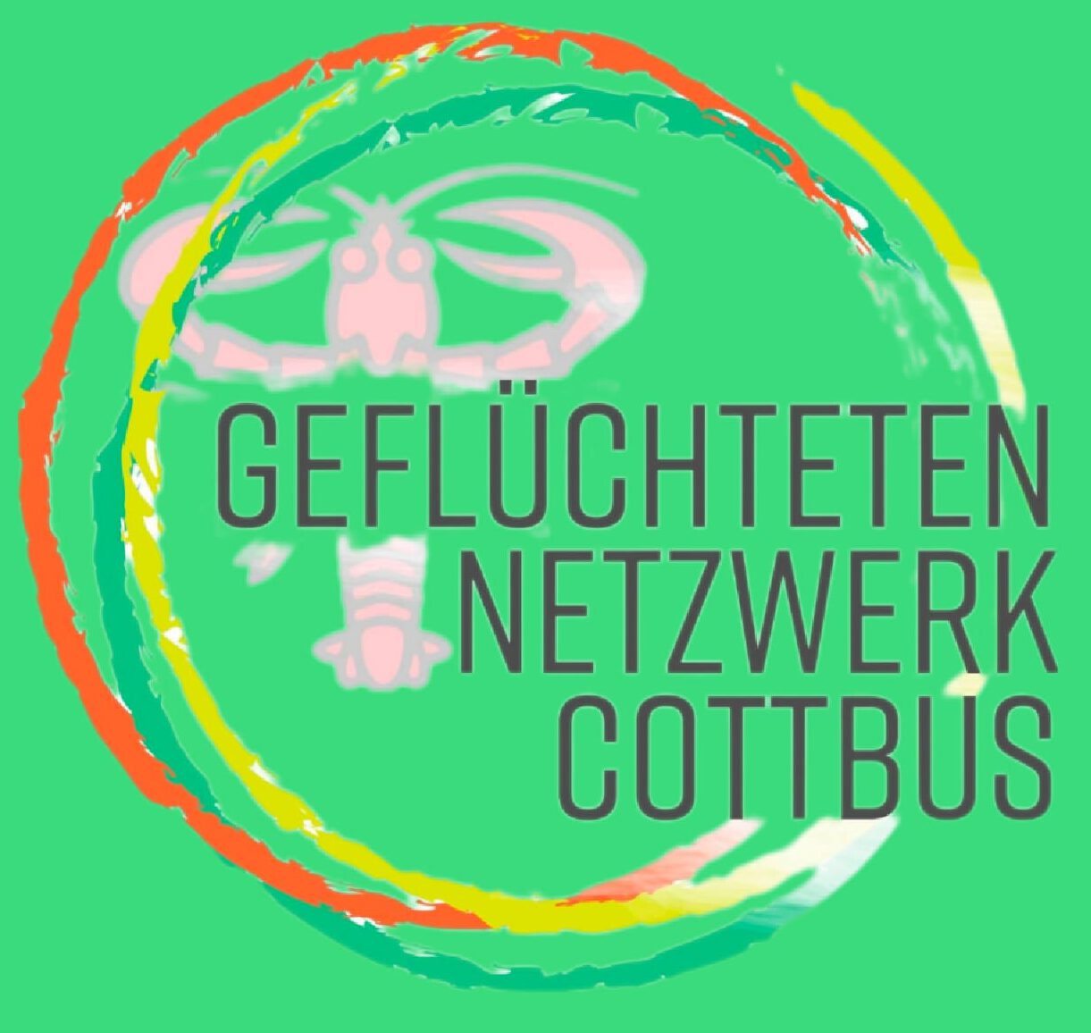 Geflüchteten Netzwerk Cottbus